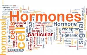 hormones