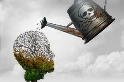 Fotolia_120484903_M-300×300