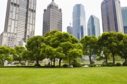 Les-espaces-verts-en-ville-ameliorent-la-sante-mentale-publique-300×200