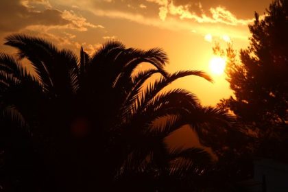 Guadeloupe
